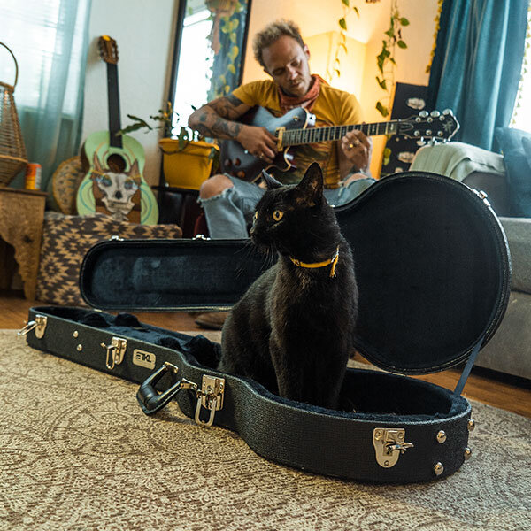 black cat sitting in open black hardshell case with musician playing electric guitar in background